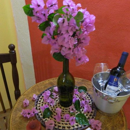 Bicho Do Mato Suites Guapimirim Buitenkant foto