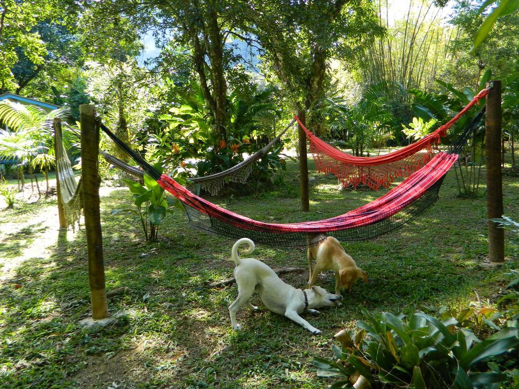 Bicho Do Mato Suites Guapimirim Buitenkant foto