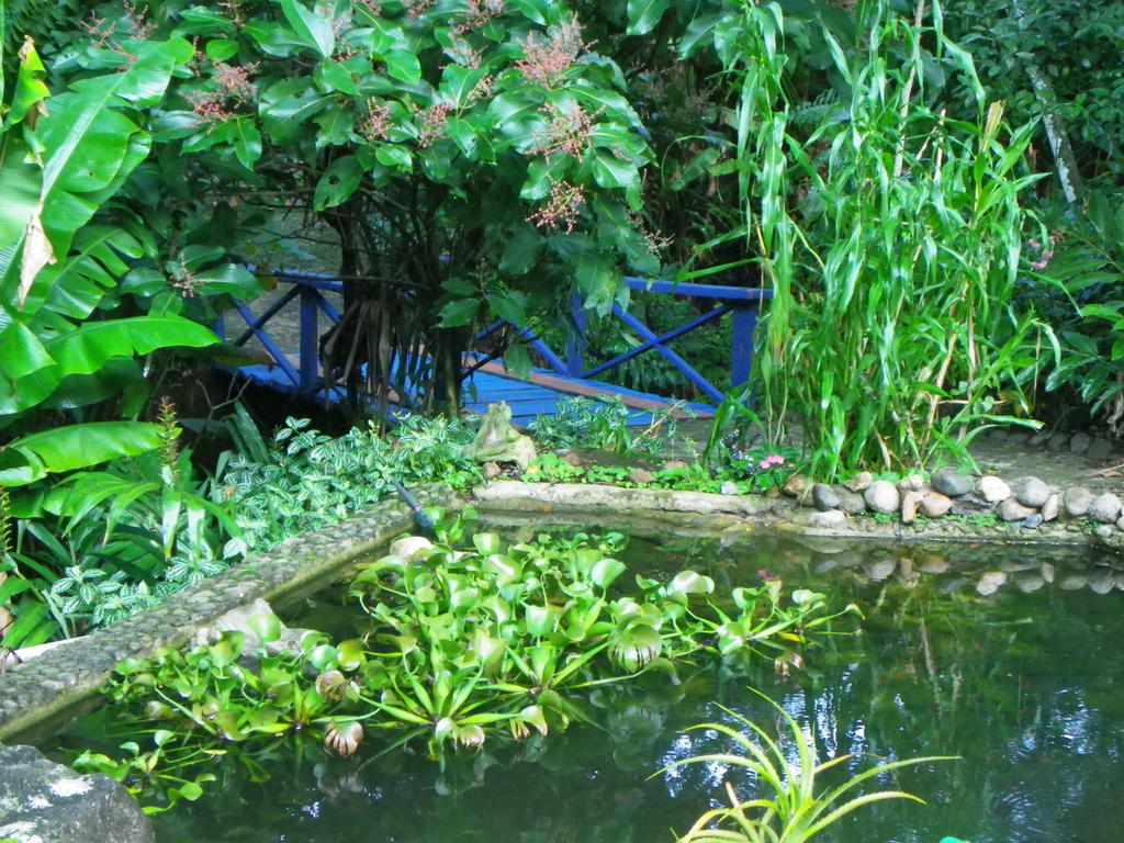 Bicho Do Mato Suites Guapimirim Buitenkant foto