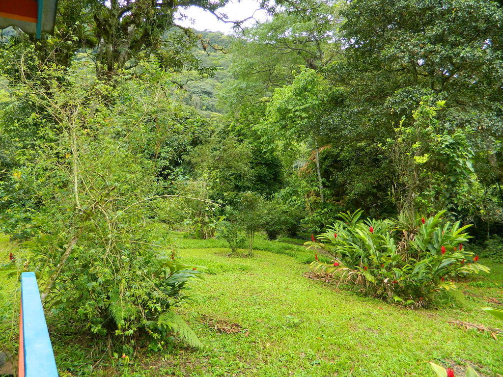 Bicho Do Mato Suites Guapimirim Buitenkant foto